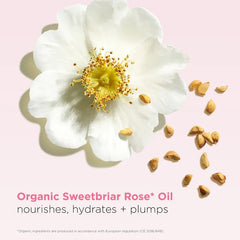Hydrating Peptide & Plumping Lip Oil Balm
