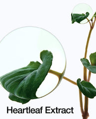 HEARTLEAF 77% TONER PAD
