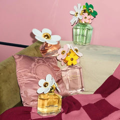 Mini Daisy Collection Coffret Set
