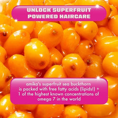 Perk Up Power-Up Dry Shampoo Duo